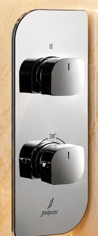 Jaquar Alive Aquamax Exposed Part Kit of Thermostatic Shower Mixer with 2-Way Diverter (ALI-CHR-85681NK) – View 2